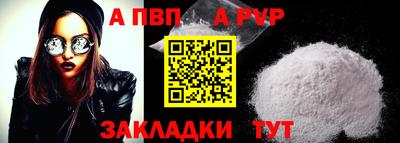 крисы Славгород