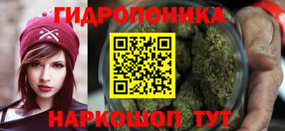 mdma Сланцы