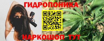 mdma Сланцы