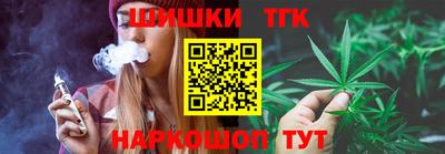 крисы Славгород