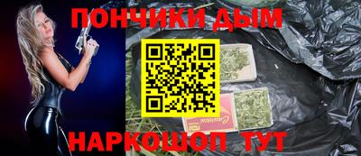 крисы Славгород