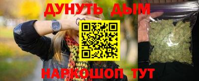крисы Славгород