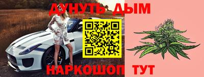 крисы Славгород