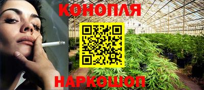 крисы Славгород