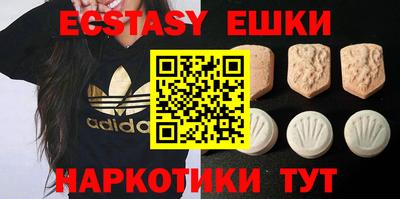 крисы Славгород