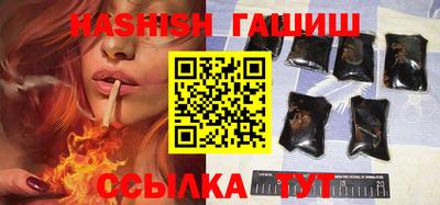 крисы Славгород