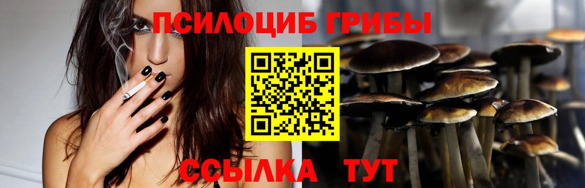Нягань  Псилоцибиновые грибы мухоморы  как найти закладки  Вход с VPN 